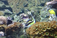 20150527_145652